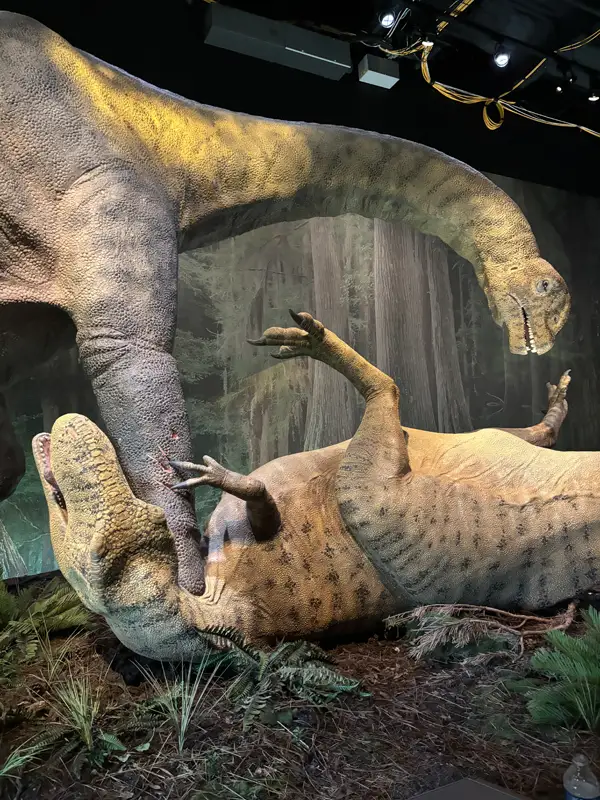 Lifelike dinosaur display