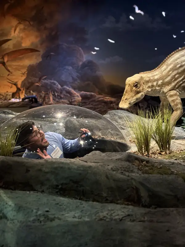 One of the bank attendees having fun at the dinosaur display area